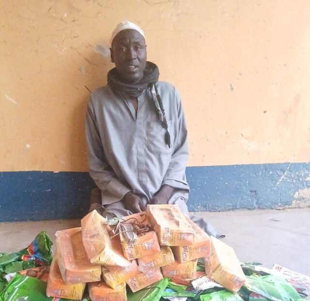 Troops nab suspected ISWAP logistics courier in Borno