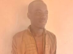 Boko Haram member surrenders to army in Borno