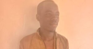 Boko Haram member surrenders to army in Borno