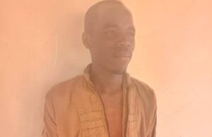 Boko Haram member surrenders to army in Borno