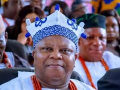 Osun govt removes Apetumodu over US fraud conviction