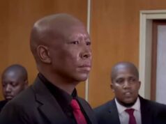 Malema jailed five years over rally gunfire