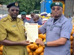 Customs intercepts N2.35bn cocaine, nabs 71-year-old suspect in Lagos Customs