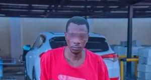 Police arrest chef over N150m Abuja theft