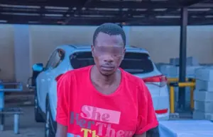 Police arrest chef over N150m Abuja theft