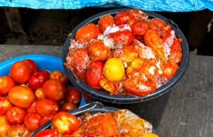 Lagos warns against eating rotten tomatoes