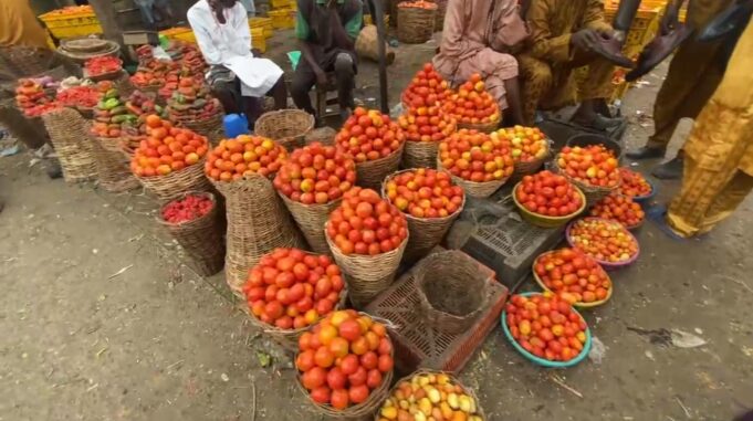 Tomatoes