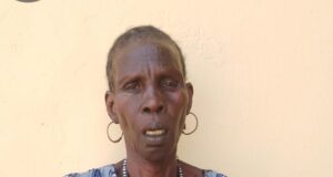 Troops nab ‘female ISWAP collaborator’ in Borno