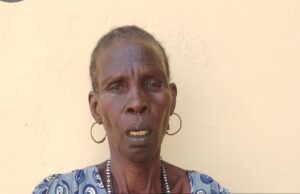 Troops nab ‘female ISWAP collaborator’ in Borno