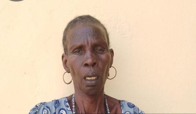 Troops nab ‘female ISWAP collaborator’ in Borno