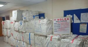 NDLEA arrests drug couriers at Abuja, Enugu airports