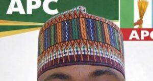 Zulum’s brother wins Borno APC Reps ticket Zulum