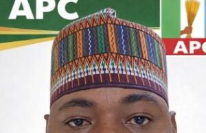 Zulum’s brother wins Borno APC Reps ticket Zulum