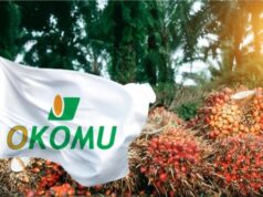Okomu Oil records N172.6bn revenue from palm products as profit hits N123.3bn