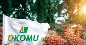 Okomu Oil records N172.6bn revenue from palm products as profit hits N123.3bn