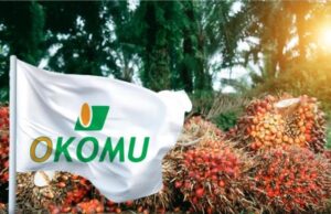 Okomu Oil records N172.6bn revenue from palm products as profit hits N123.3bn