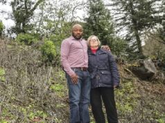 Nigerian fined $1m over tree felling in US