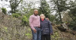 Nigerian fined $1m over tree felling in US