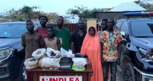 NDLEA destroys drug hubs in Abuja, arrests 132 suspects NDLEA