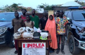 NDLEA destroys drug hubs in Abuja, arrests 132 suspects NDLEA