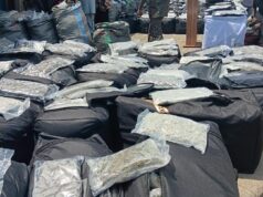 NDLEA intercepts N10.4bn drugs at Lagos port NDLEA