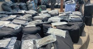 NDLEA intercepts N10.4bn drugs at Lagos port NDLEA