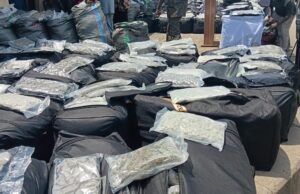 NDLEA intercepts N10.4bn drugs at Lagos port NDLEA