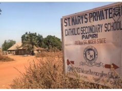 DSS arrests five, foreign suspects, over Papiri school kidnap
