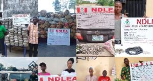 NDLEA busts drug networks nationwide, seizes large consignments