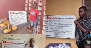 Three PWDs nabbed in NDLEA drug operations in Anambra, Kwara