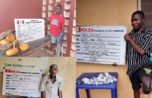 Three PWDs nabbed in NDLEA drug operations in Anambra, Kwara