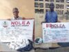 Two octogenarians arrested over drug trafficking in Abia, Ekiti