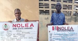 Two octogenarians arrested over drug trafficking in Abia, Ekiti