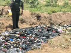 NCoS destroys confiscated contraband to boost custodial security