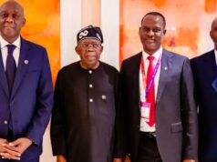 IFC targets Nigeria’s livestock, energy sectors with fresh investment drive
