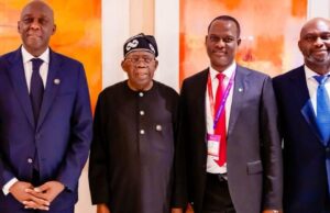 IFC targets Nigeria’s livestock, energy sectors with fresh investment drive