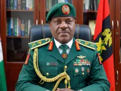 No foreign troops took part in ground operation against Al-Minuki — DHQ