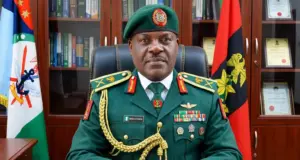 No foreign troops took part in ground operation against Al-Minuki — DHQ