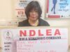 Chinese woman arrested with 31kg cannabis in Lagos