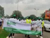 FG targets 37,000 women, youths in dairy value chain