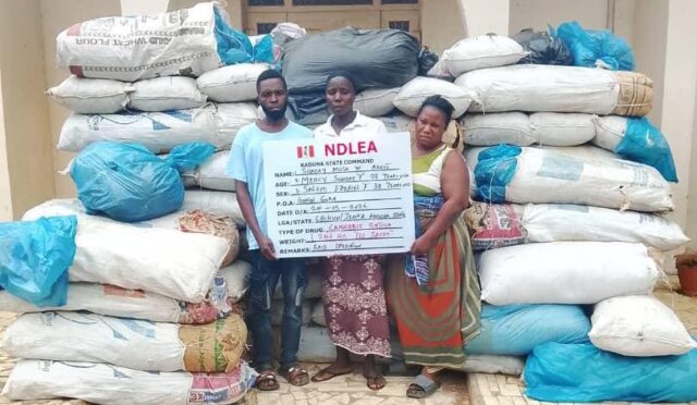 NDLEA seizes ammunition in Kaduna, nabs suspects in drug operations