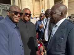 How I pushed Obi to greet Tinubu at Vatican — Fayemi