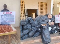 NDLEA busts international drug trafficking attempts, destroys 65,000kg of skunk