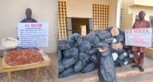 NDLEA busts international drug trafficking attempts, destroys 65,000kg of skunk