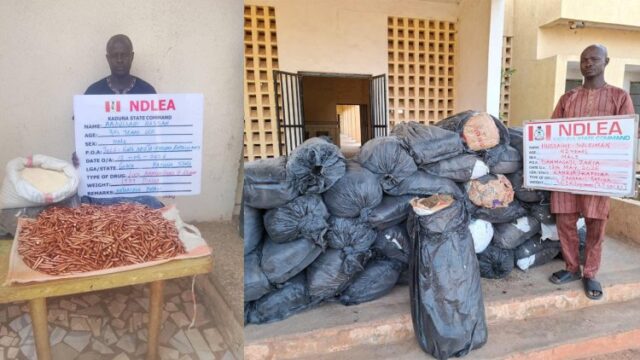 NDLEA busts international drug trafficking attempts, destroys 65,000kg of skunk