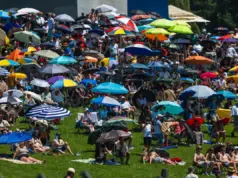 Europe heatwave shatters temperature records across three countries