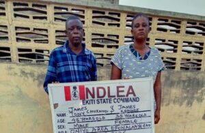 NDLEA intercepts drugs hidden in ladies’ bags, nabs wanted couple in Ekiti NDLEA