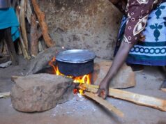 Soaring gas prices push Abuja households to firewood