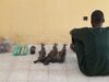 DSS intercepts arms shipment, nabs courier in Kano