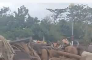 Police debunk video of Lakurawa terrorists entering Oyo Police
